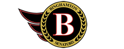 binghamton senators voiced by Scott Palmer voice actor
