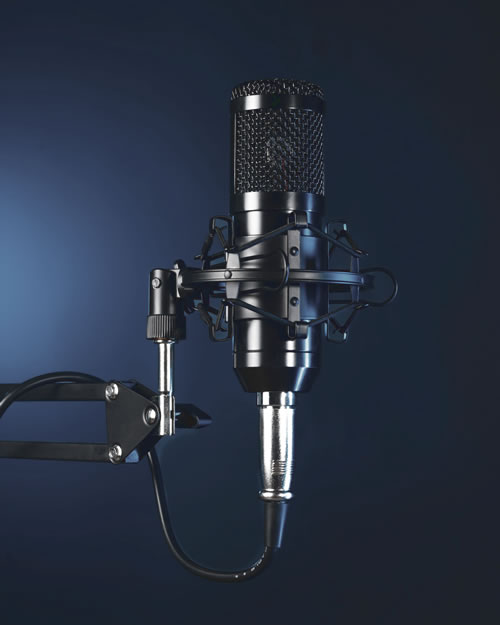 Scott Palmer award-winning voice actor.